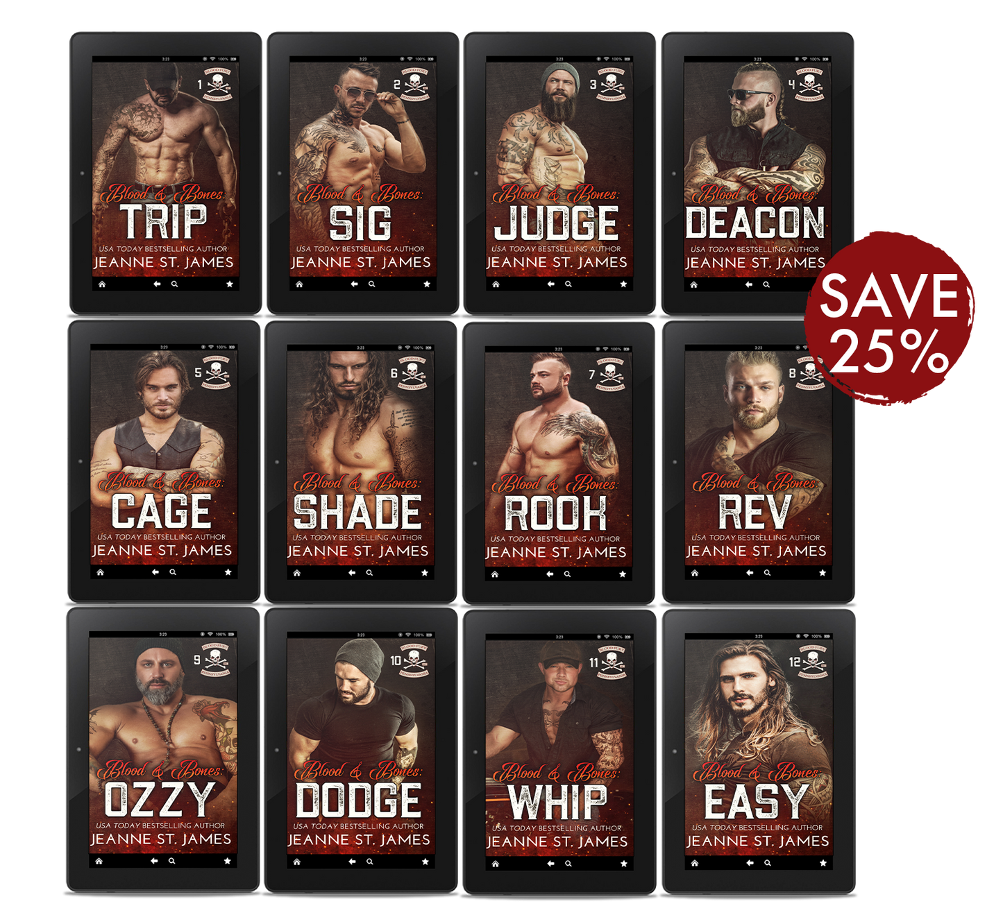 Blood Fury MC Series Ebook Bundle
