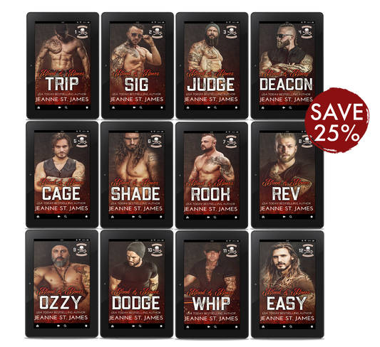 Blood Fury MC Series-Ebook Bundle
