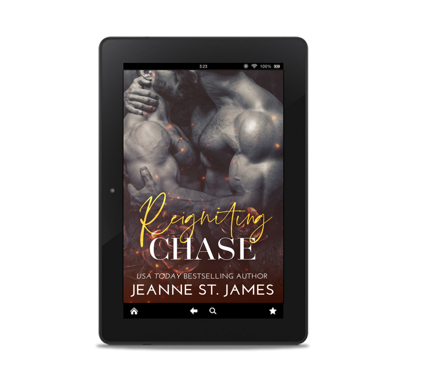 Reigniting Chase Ebook